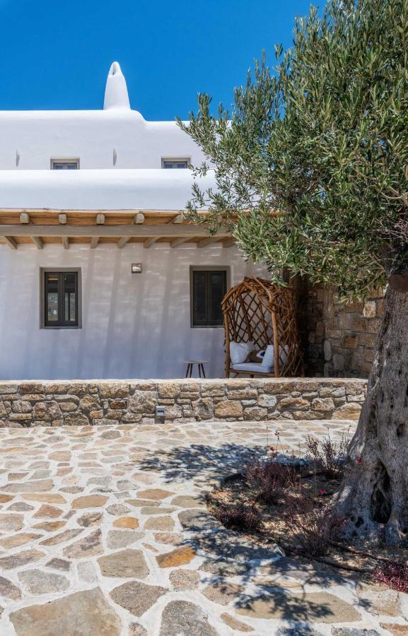 Mykonos Ag Villas In Ftelia Beach Exterior photo